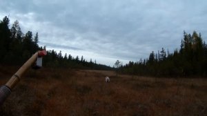 Бунгало. День ВТОРОЙ. Продолжение.