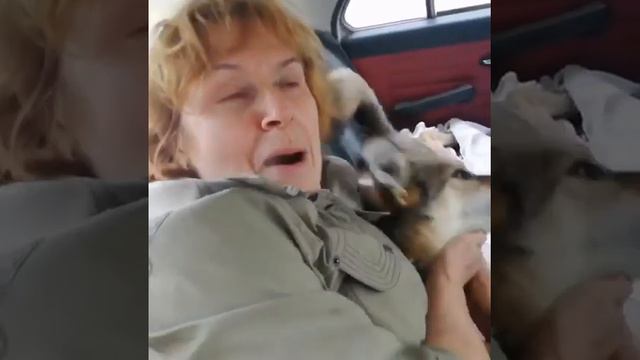 После 5ти лет в приюте, Артюша дождалась… смотреть онлайн