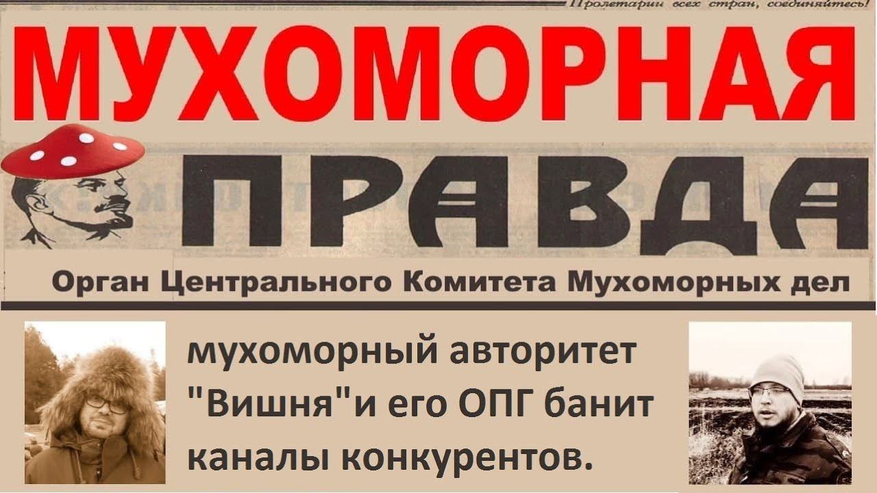 Мухоморная Правда #8 смотреть онлайн