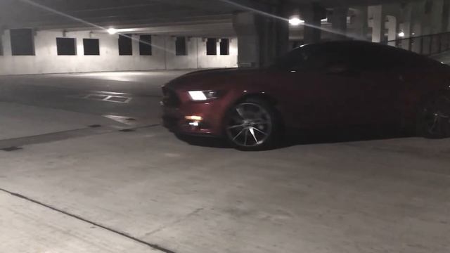 Мустанг. Стиль. Ночная Флорида смотреть онлайн