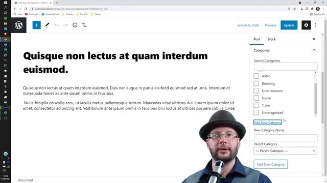 How to Create a New Category WHILE Editing a Post, in WordPress смотреть онлайн