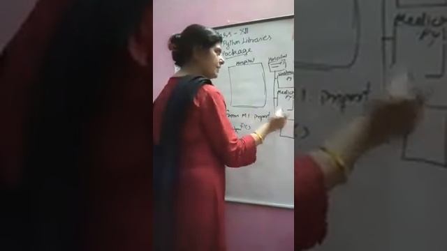Computer science Class 12 using python'libraries part 5 package creation in Python смотреть онлайн