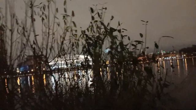 1.11.2023 Гуляем по вечерней набережний и сети / Красота