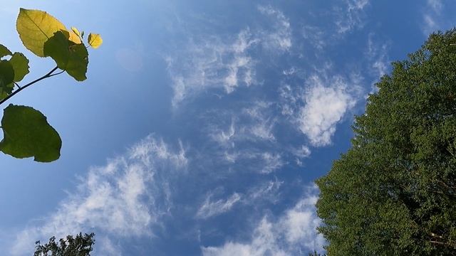 44. Головково. Солнечногорский район. МО. Озеро в лесу смотреть онлайн