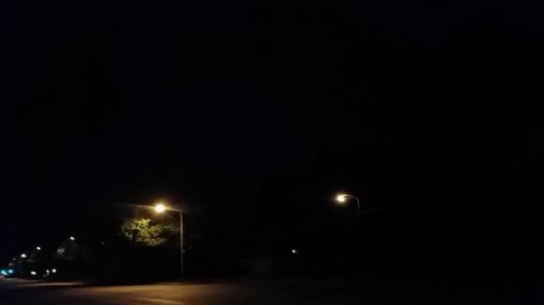 Lighting bolts above tree line and between