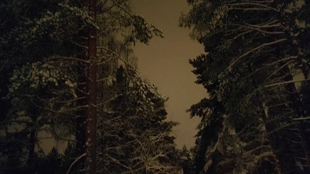 Вечерняя прогулка. Ювяскюля, 25.12.2019 смотреть онлайн