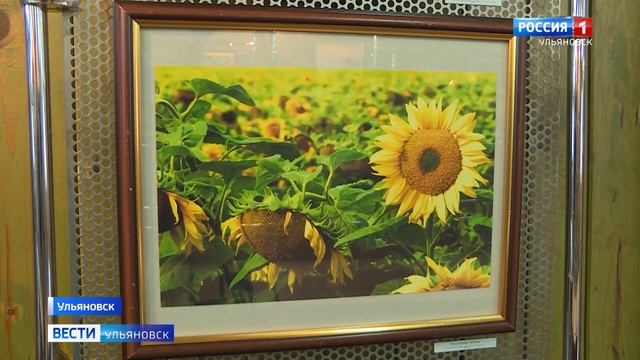 Около 40 фотографий своей Малой Родины представил Виталий Слёзка на первой персональной выставке. смотреть онлайн