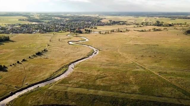 Каким был и чем запомнился Петр Мамонов. Памяти Петра Мамонова..mp4 смотреть онлайн