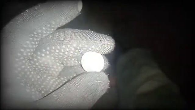 НОЧНОЙ КОП ... x-terra 305 с DD катушкой на 18,75 кГц смотреть онлайн