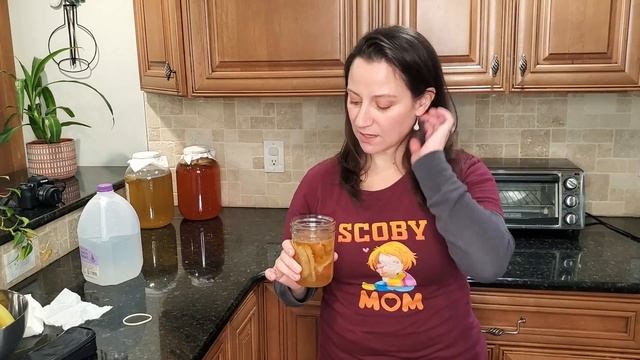 Is my SCOBY dead? How to tell if your SCOBY is alive! смотреть онлайн