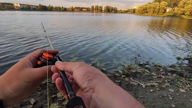 Daiwa Fuego - народная катушка. Обзор смотреть онлайн