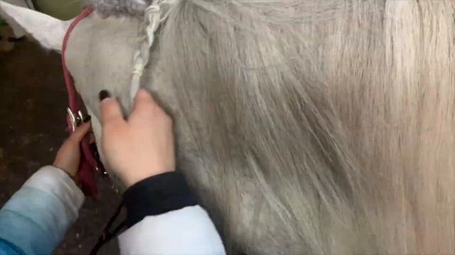 Заплетаем шишечки из длинной гривы смотреть онлайн