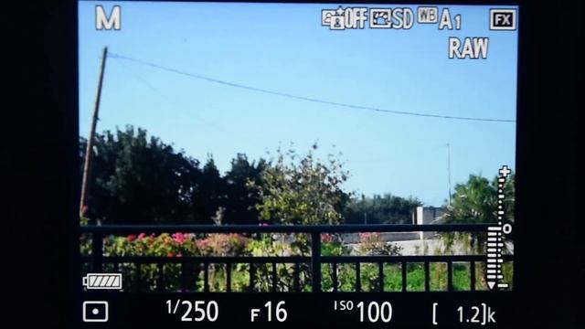 [RESOLVED as of FW 1.03C] Nikon D780 BUG, Manual AI/AI-S lens with live view and exposure preview смотреть онлайн