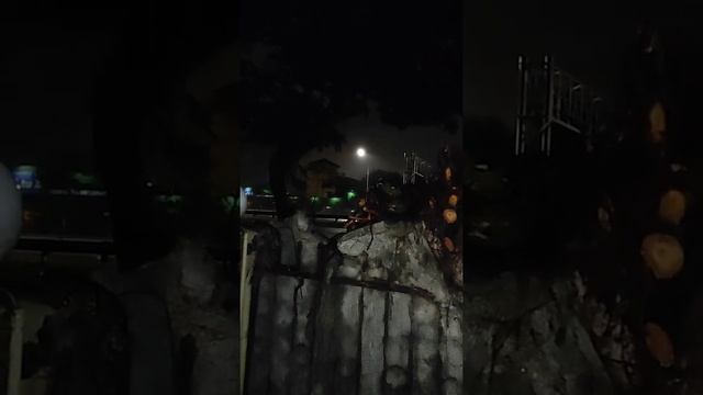 A python try to enter my house. смотреть онлайн