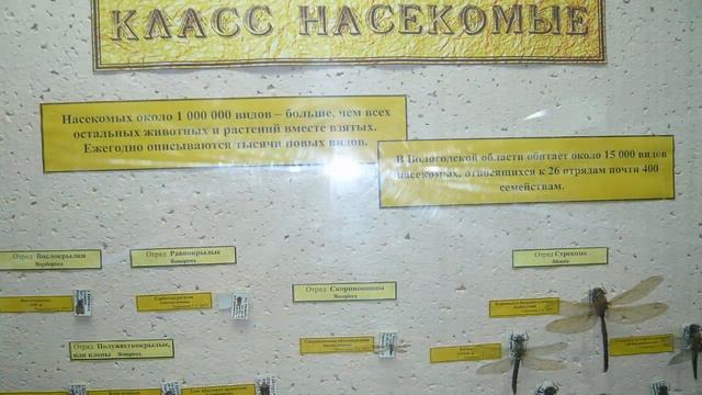 #Музей_Белого_озера. Белозерск Вологодской области смотреть онлайн