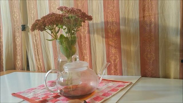 Тренируемся видеть линиями смотреть онлайн