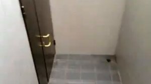 Видео-Лысьва Мира, д. 26