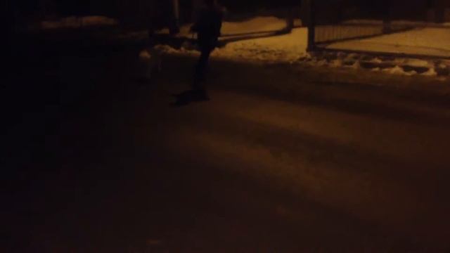 Самая быстрая собака в Мире смотреть онлайн