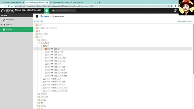 SWIFT ISO 20022 Transformation with Cloud Native Integration смотреть онлайн