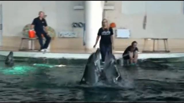 В ритме вальса. In beat a waltz. смотреть онлайн