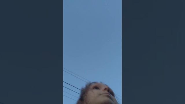 пр смотреть онлайн