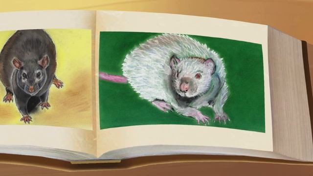 Домашние питомцы. Крыски и мышки смотреть онлайн