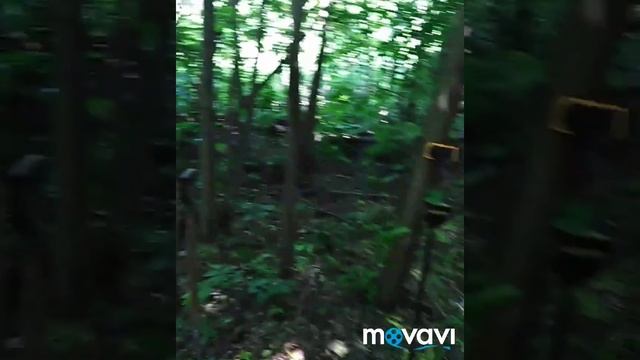НАШЁЛ КЛАД времён Екатерины смотреть онлайн