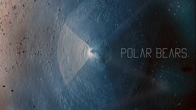 The MIDI Generals - Polar Bears смотреть онлайн