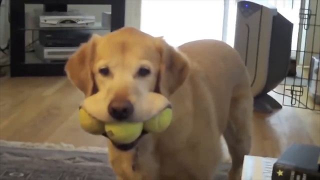 Туризм закрылся, авторынок встал. Кто следующий?! Минимизируем потери агента! Увеличиваем доход. смотреть онлайн