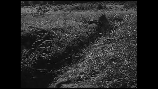 German Sniper Training and Combat - Scharfschützen Ausbildung und Einsatz - Matthäus Hetzenauer смотреть онлайн