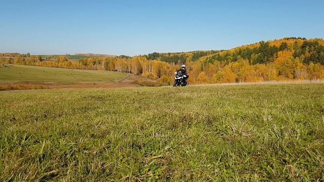 BMW R 1250 GS 21.09.2020 Золотая осень. смотреть онлайн