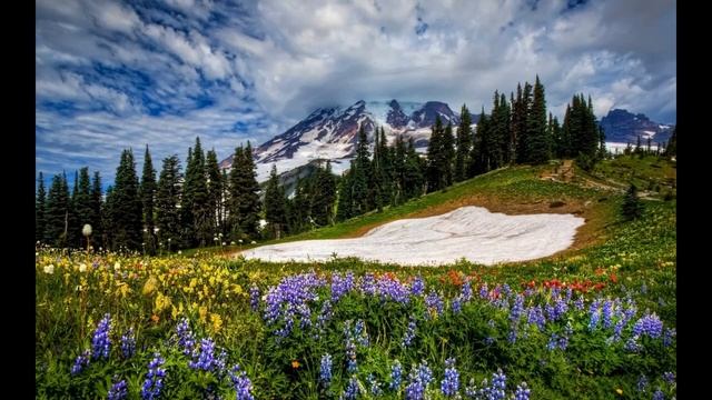 Весна. Весною. О весне.... смотреть онлайн