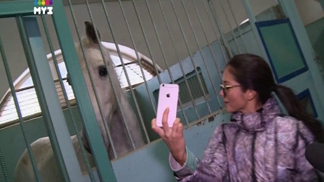 "Закажи звезду" - Нюша - 29.12.14 смотреть онлайн