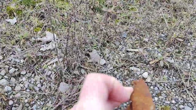 Мариупольская достопримечательность ! смотреть онлайн