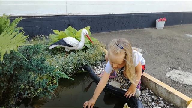 Маленькие Котята играют с Настя и папа \ Like Family смотреть онлайн