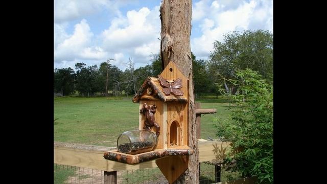 Кормушка для белки своими руками смотреть онлайн