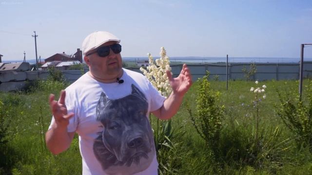 КУПИЛ ЗЕМЛЮ У МОРЯ, БРОСИЛ ВСЁ И ПЕРЕЕХАЛ...!? смотреть онлайн