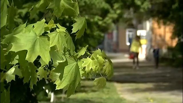 Когда и почему больницы города снова могут наводнить зараженные жители смотреть онлайн