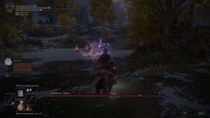 Лучшие фантомы призыва для старта в Elden ring : Скелеты - ополченцы.