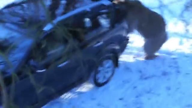 Съездили с другом на рыбалку... смотреть онлайн