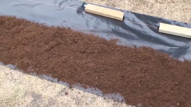 Head Start Willow Planting video смотреть онлайн
