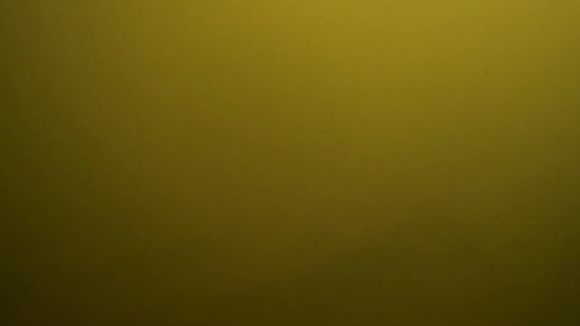 вот что можно увидеть, в мутной воде, рыба моей мечты и не одна. смотреть онлайн