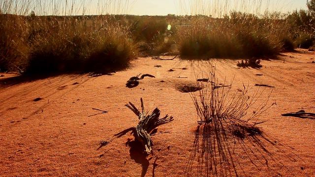 Dan Gibson’s Solitudes - Whispering Sands | Desert Spa смотреть онлайн
