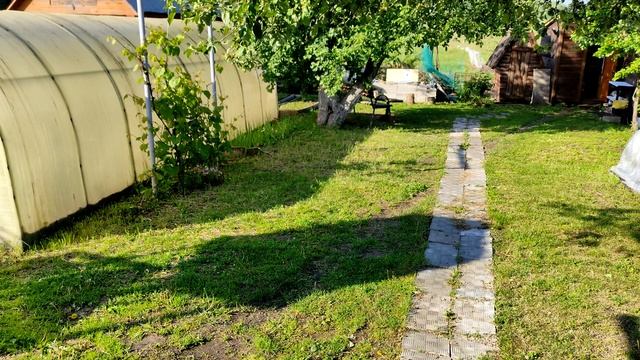 Пневматическая винтовка ДИАНА Маузер К98 ОБЗОР Diana K98 Mauser смотреть онлайн