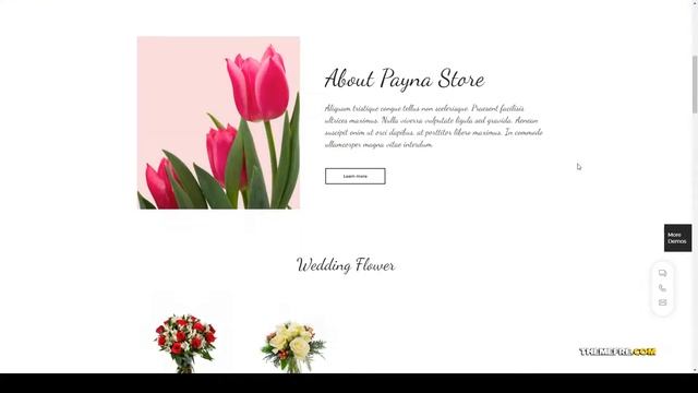 Payna - Clean Minimal WooCommerce Theme fashion minimalistic Kaede смотреть онлайн
