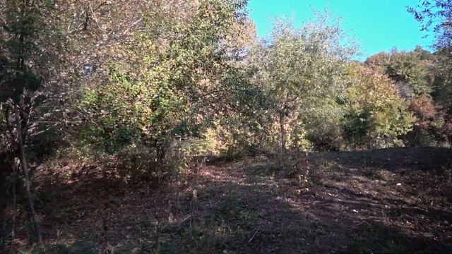 Обзор гостевого дома Четыре Сезона в Мезмае. смотреть онлайн