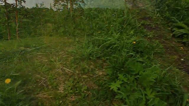 Лето в Томске. Summer in Tomsk смотреть онлайн