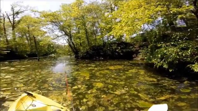 Kayak Bass Fishing Guy B Park