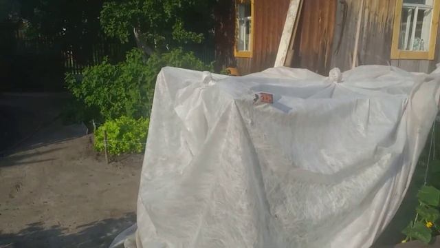 Дедушка и заговор смотреть онлайн