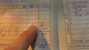 VLOG: Мой школьный дневник  2 класс // SCHOOL DIARY #Образование